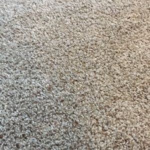 Meet your Posher, Jeanette